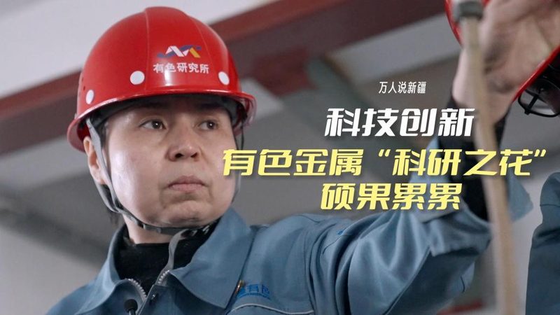 数据治理体系搭建：迈向高效数据管理的关键步骤**